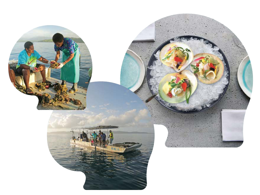 Fiji Pearl Oyster IISD Aquaculture