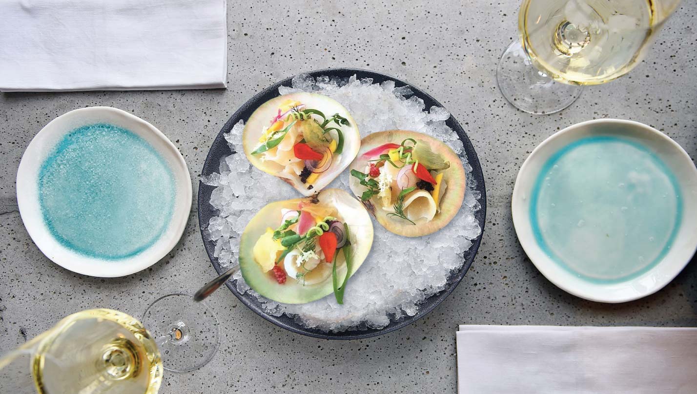 Fiji Pearl Oyster Commitment IISD