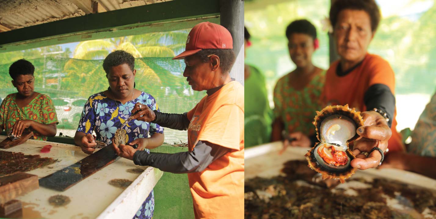 Grassroots discovery and innovation