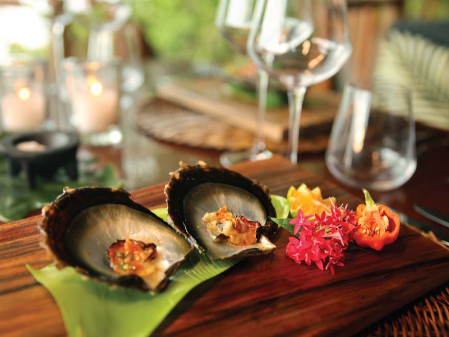 Fiji Pearl Oyster Farming IISD