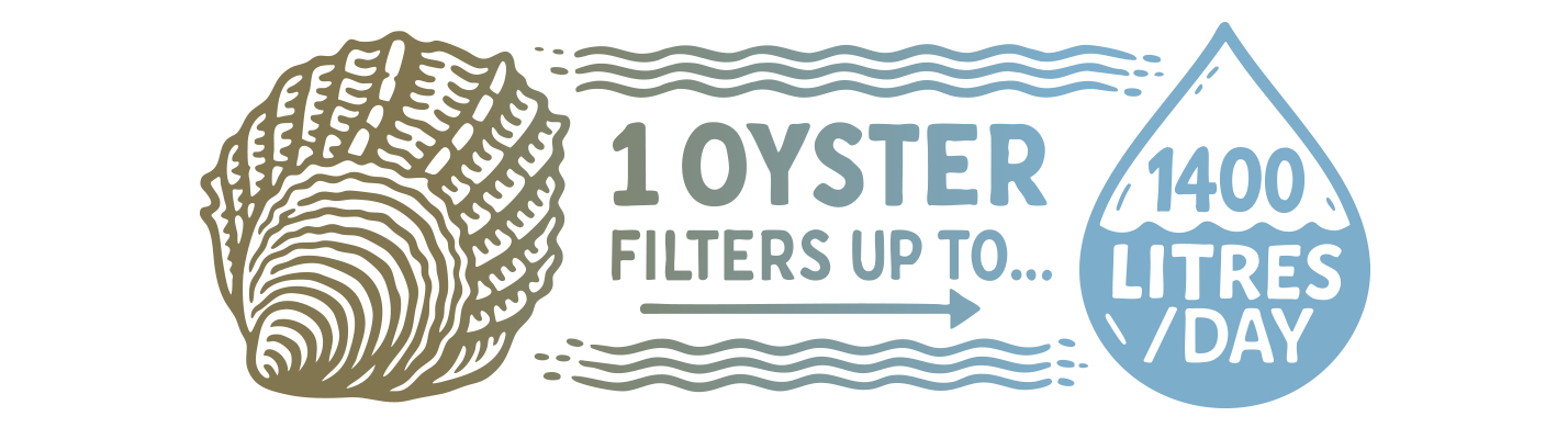 Water quality and ocean health