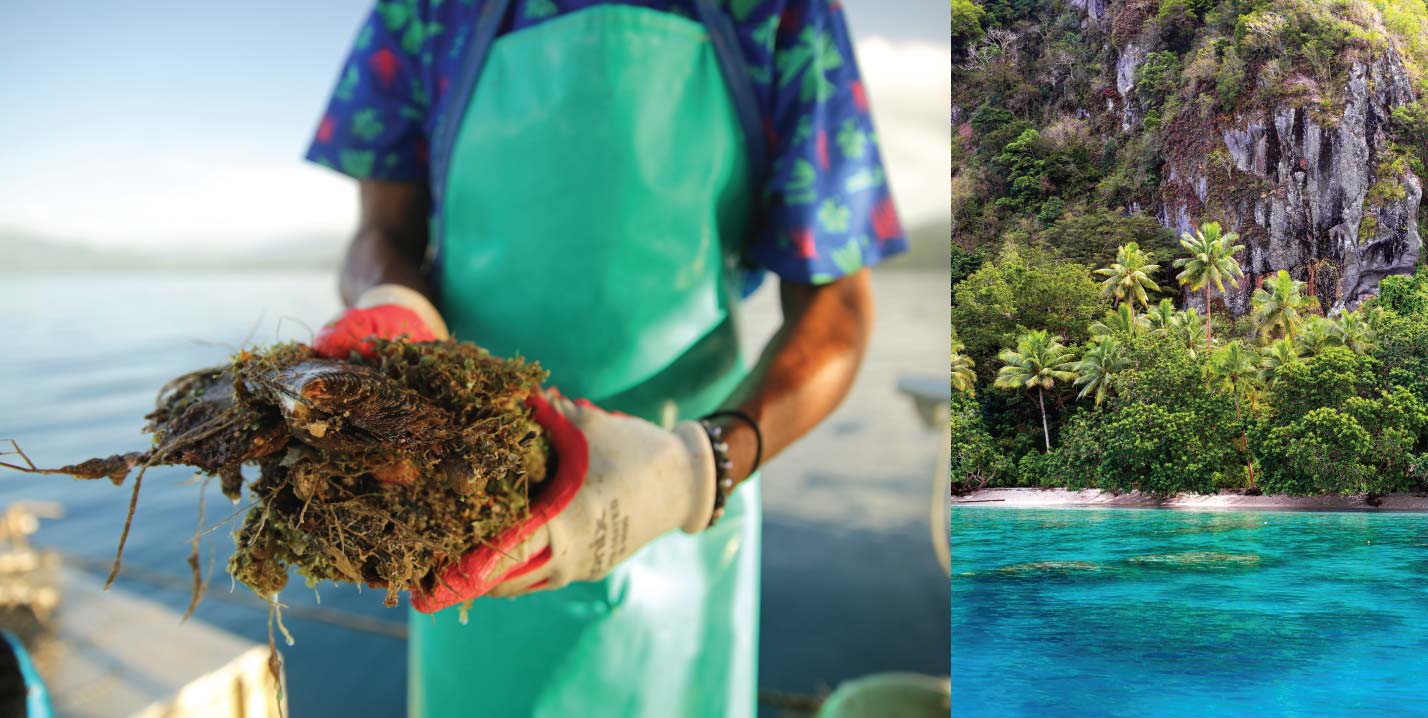 A shared vision of livelihood and conservation