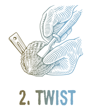 2. Twist