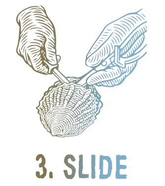 3. Slide