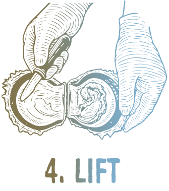 4. Lift
