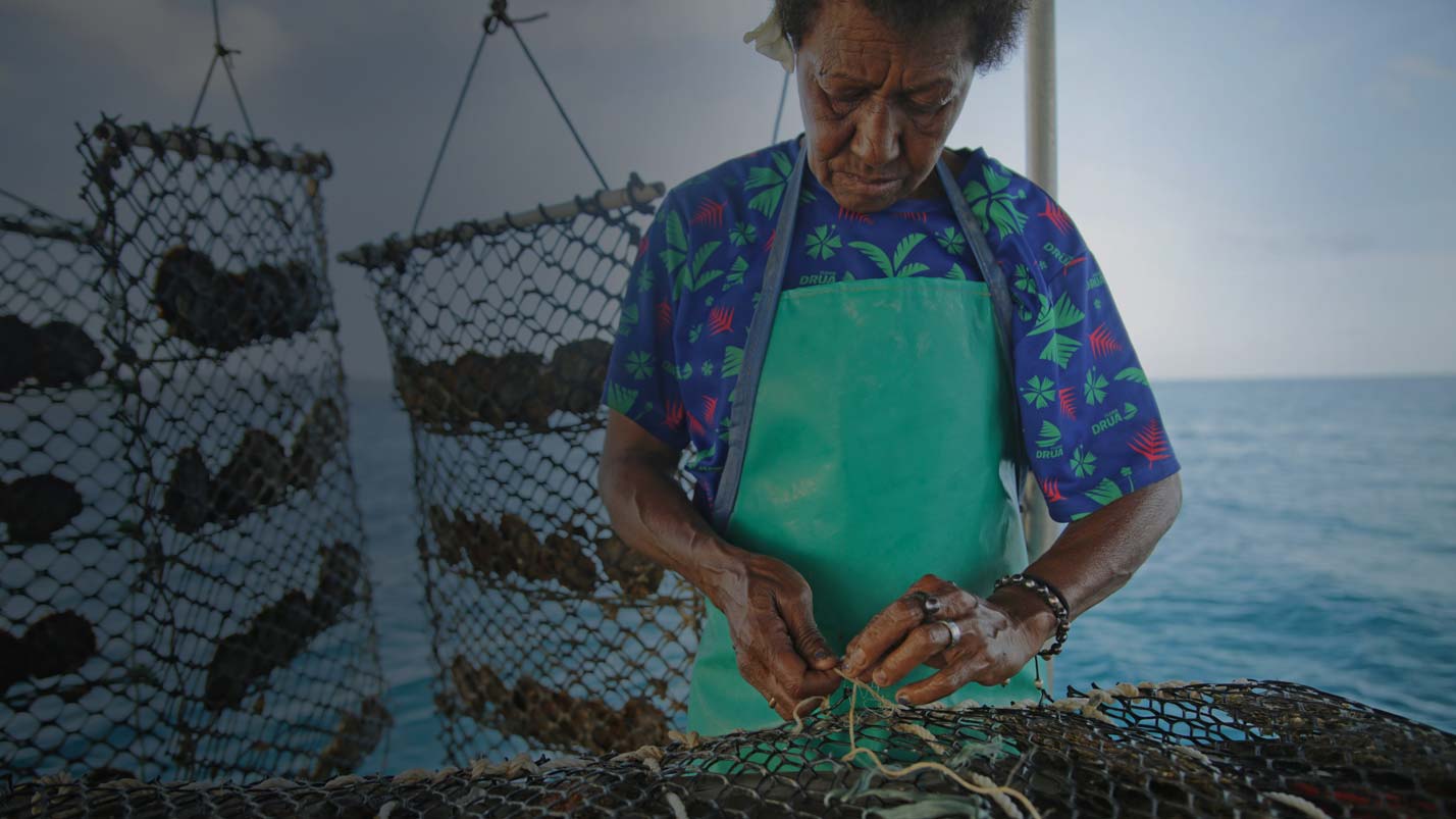 Fiji Pearl Oyster IISD Aquaculture